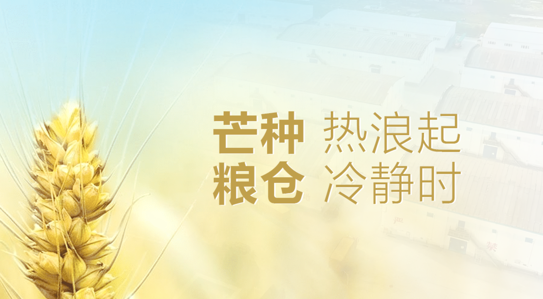 芒种热浪起，粮仓“冷静”时：净松粮仓空调守护粮仓安全