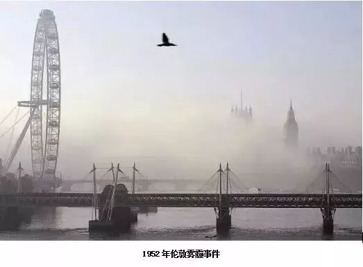 2025新澳门2025原料网