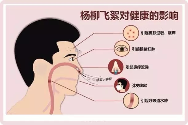 2025新澳门2025原料网