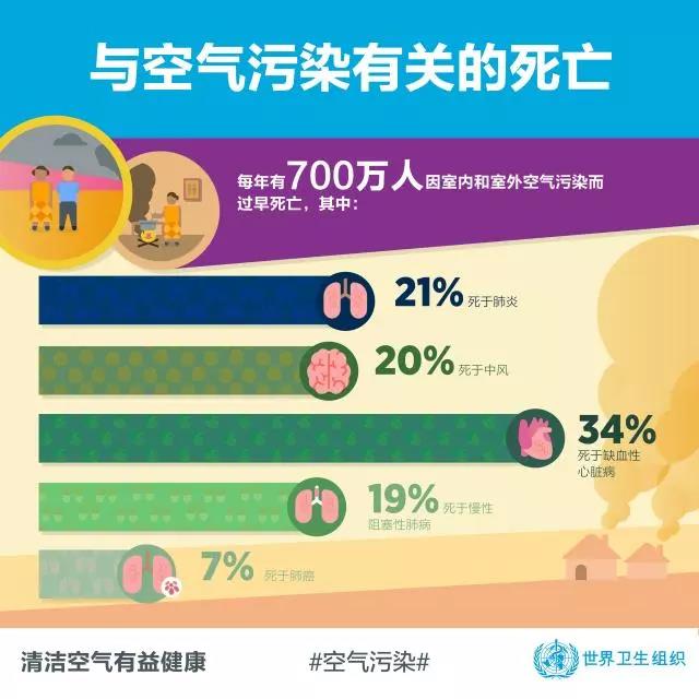 2025新澳门2025原料网