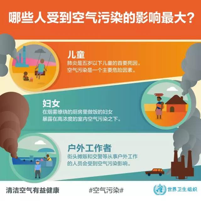 2025新澳门2025原料网