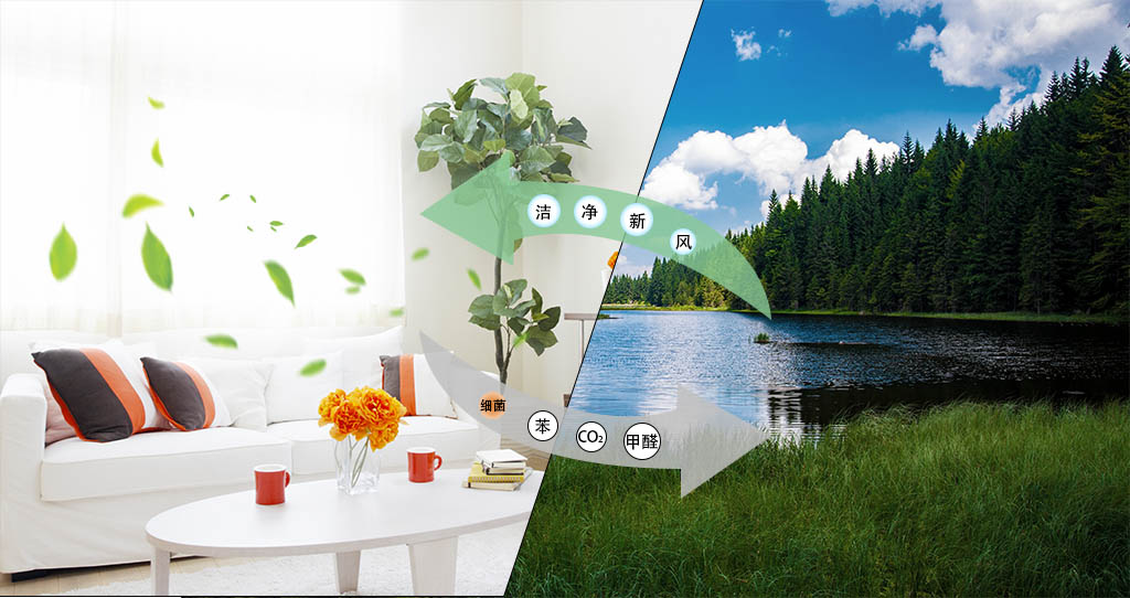 2025新澳门2025原料网