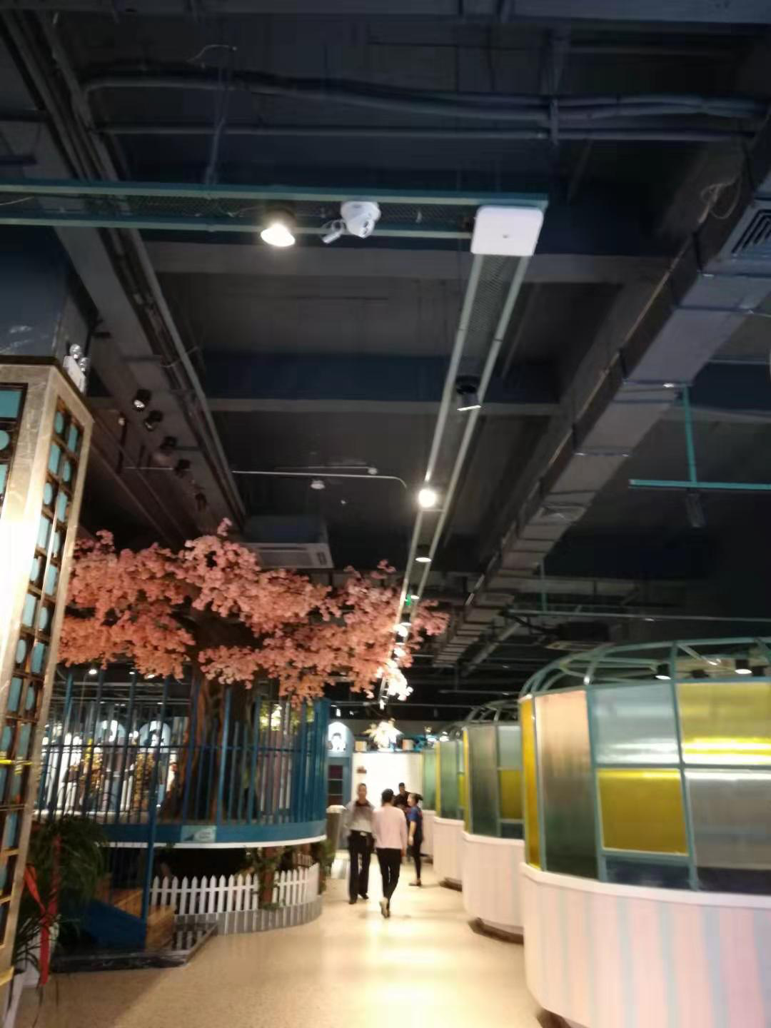 2025新澳门2025原料网