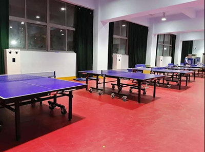 2025新澳门2025原料网