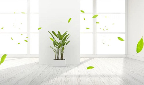 2025新澳门2025原料网