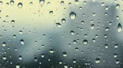 2025新澳门2025原料网