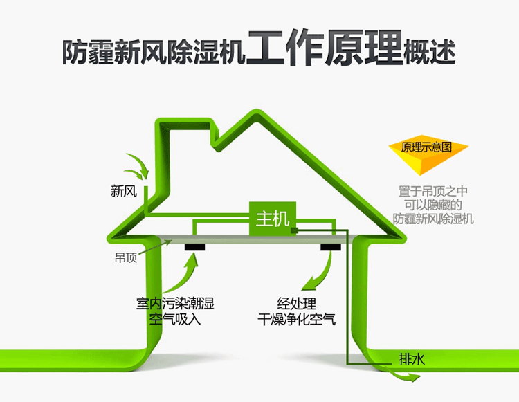 2025新澳门2025原料网