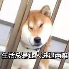 2025新澳门2025原料网