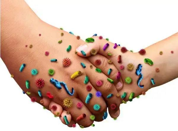 2025新澳门2025原料网