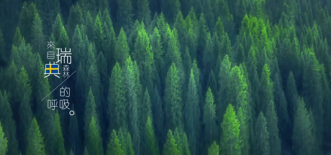 2025新澳门2025原料网