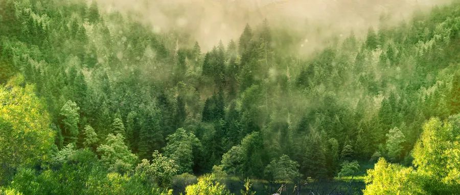 2025新澳门2025原料网