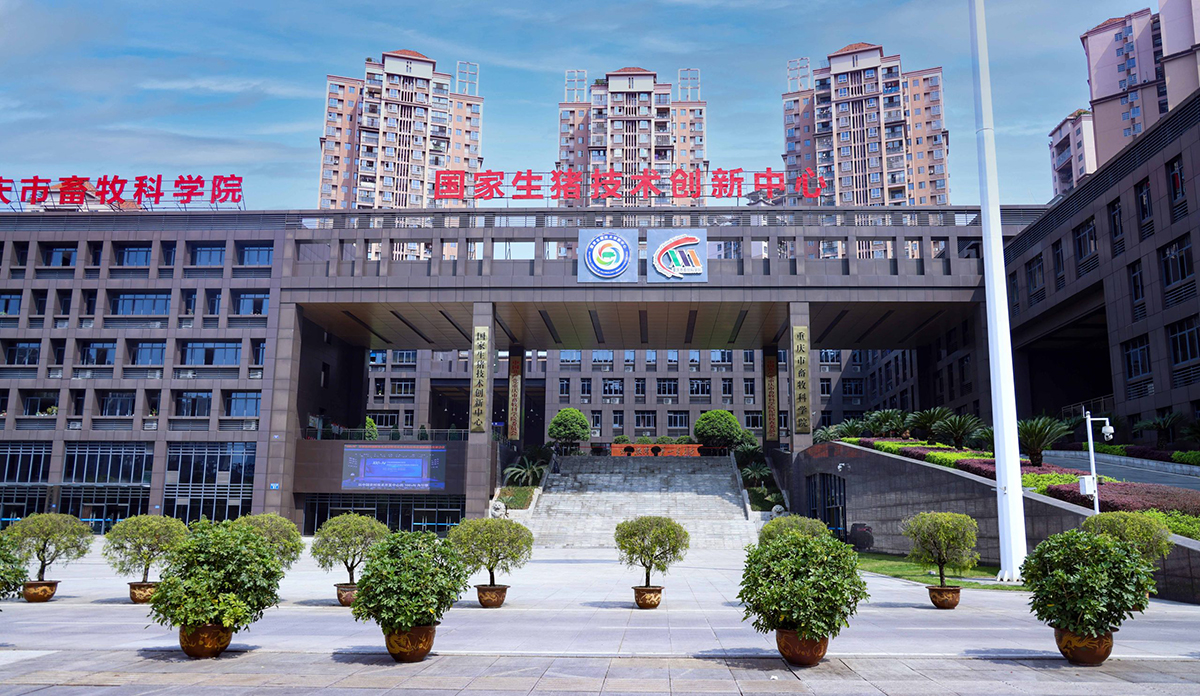 2025新澳门2025原料网