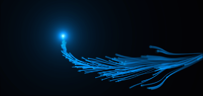 2025新澳门2025原料网