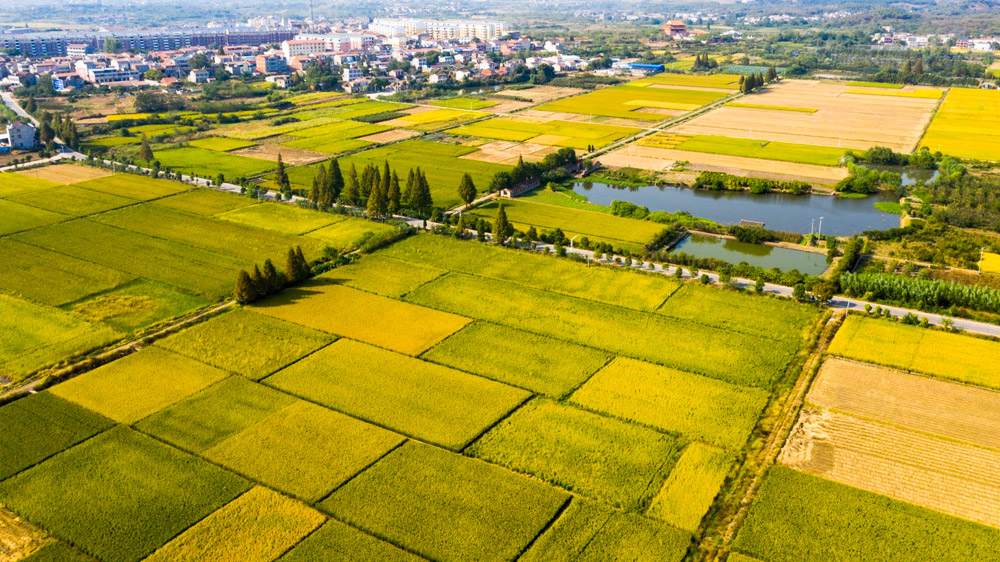 2025新澳门2025原料网