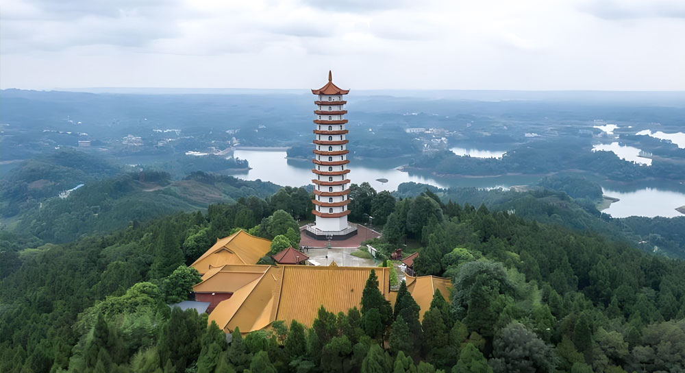 2025新澳门2025原料网