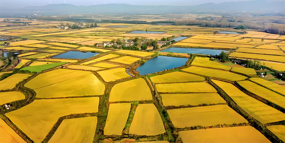 2025新澳门2025原料网