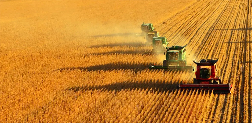 2025新澳门2025原料网