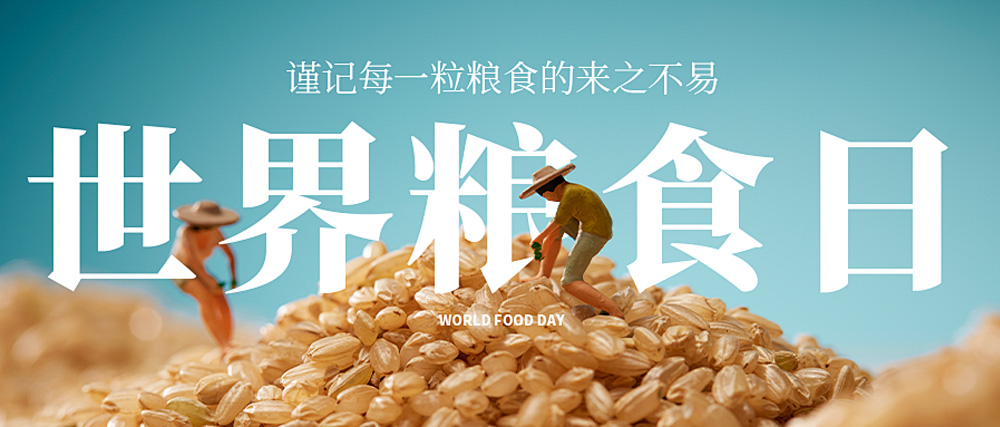 2025新澳门2025原料网