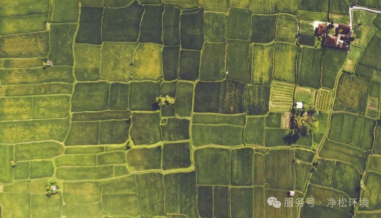 2025新澳门2025原料网