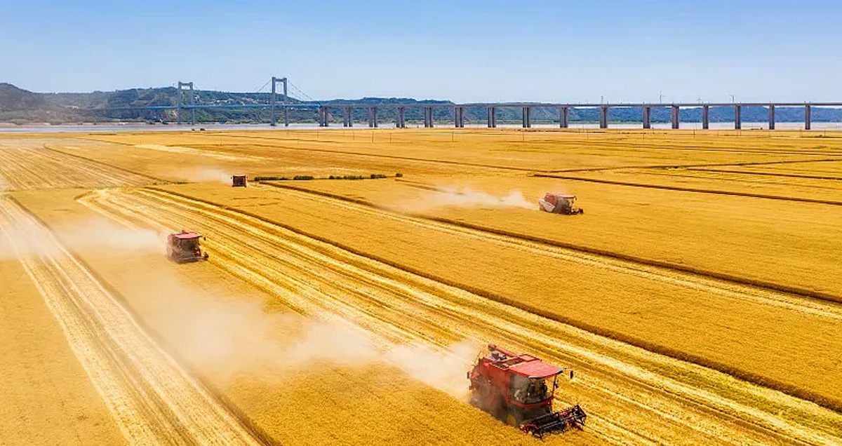 2025新澳门2025原料网